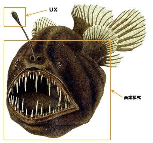 封面是以燈籠魚做比喻，發光釣桿是 UX，魚身是商業模式